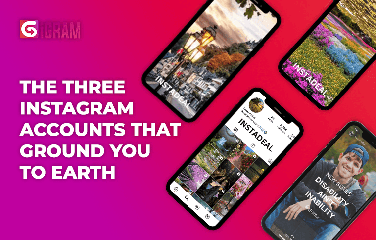 3 Instagram Accounts That Ground You to Earth
